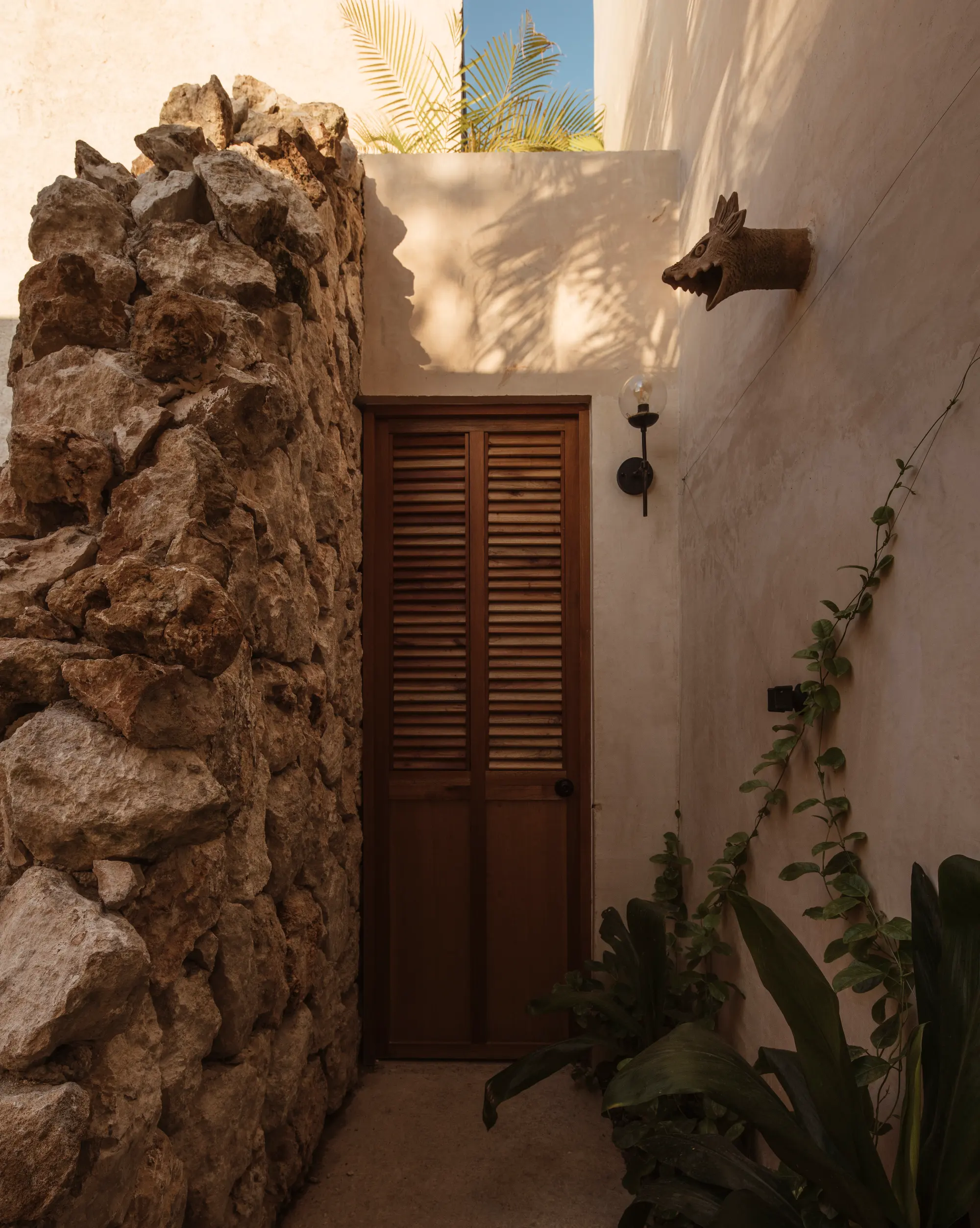 Refugio Bajo las Hojas, hotel en Campeche. Fotografía 10.