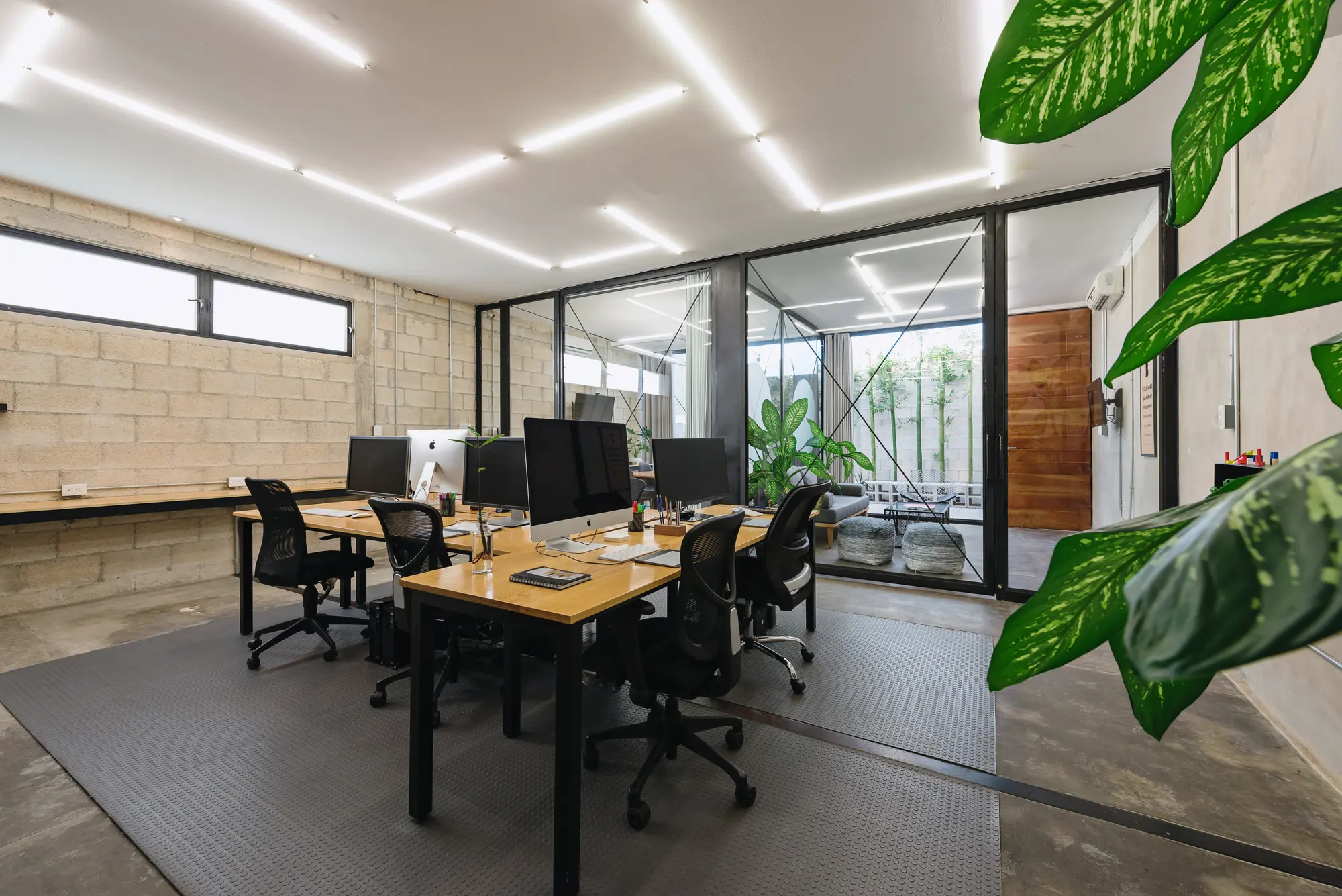 Vegrande, oficinas en Mérida. Fotografía 2.